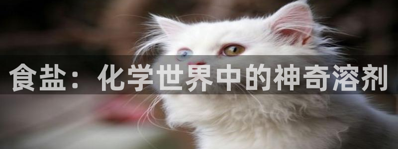 威九国际网站下载