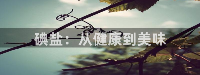 威九国际精