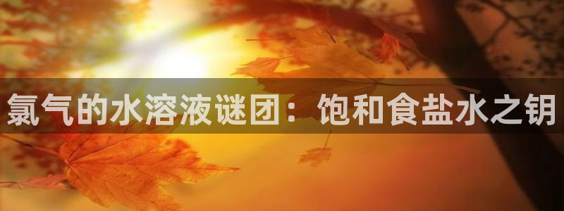 威九国际网站入口地址