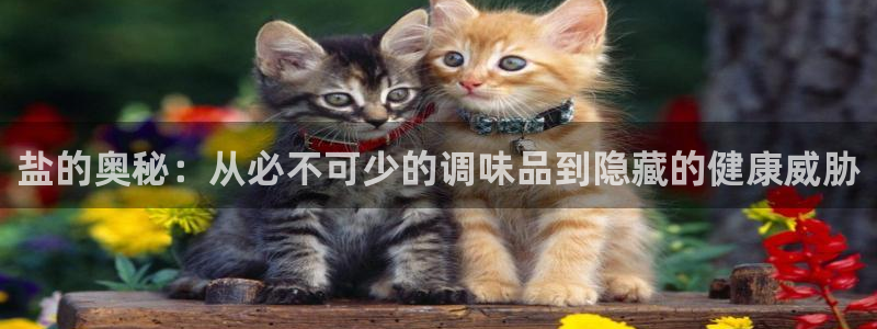 威九国际真人游戏