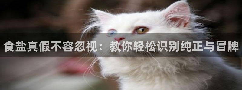 威九国际Sxsx
