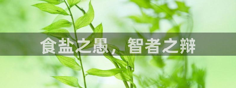 威九国际韩国