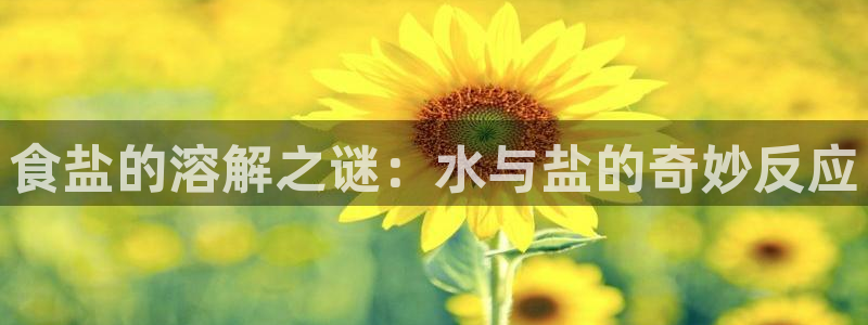 威九国际精选