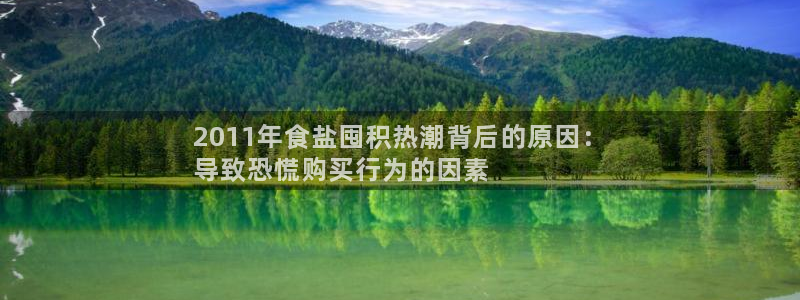 威九国际app网站