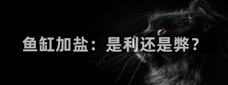 威九国际的金融服务