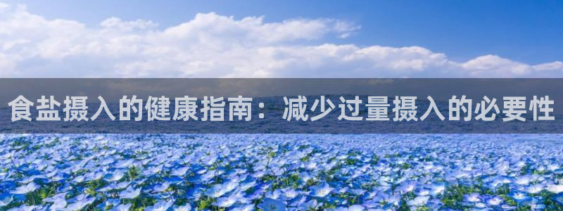 威九国际网站怎么样