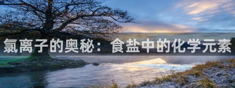 威九国际最新网站