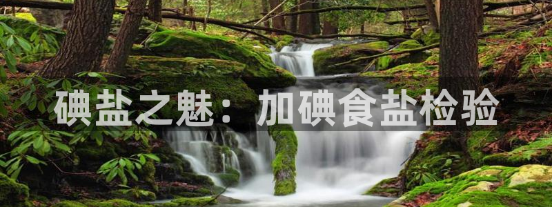 威九国际网站客服电话多少啊