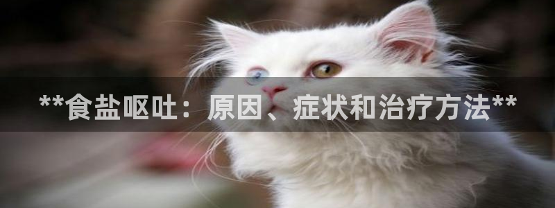 威九国际的演员