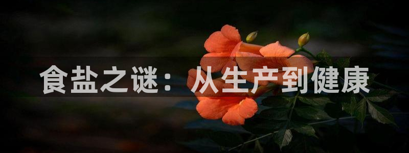 威九国际com
