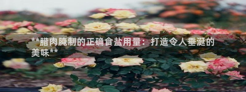 威九国际动漫