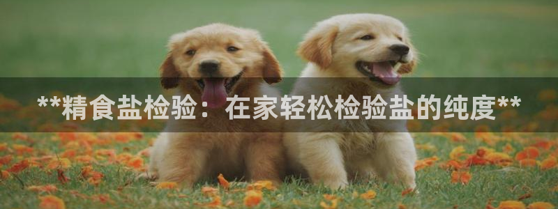 威九国际网站怎么样