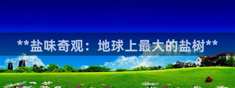 威九国际安全吗的认证团队