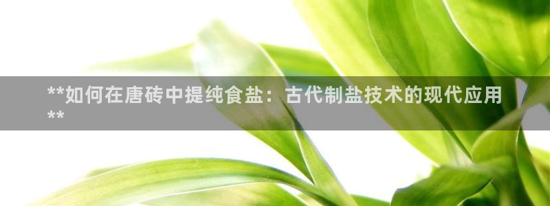 威九国际66m66m电影