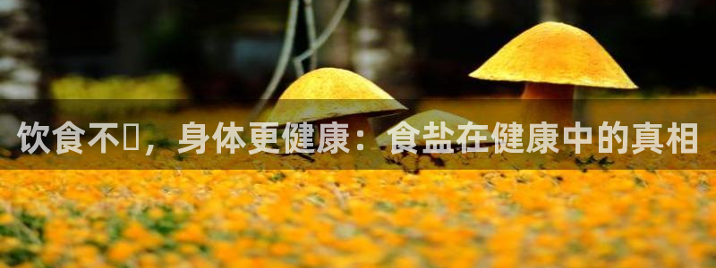 威九国际精彩推荐