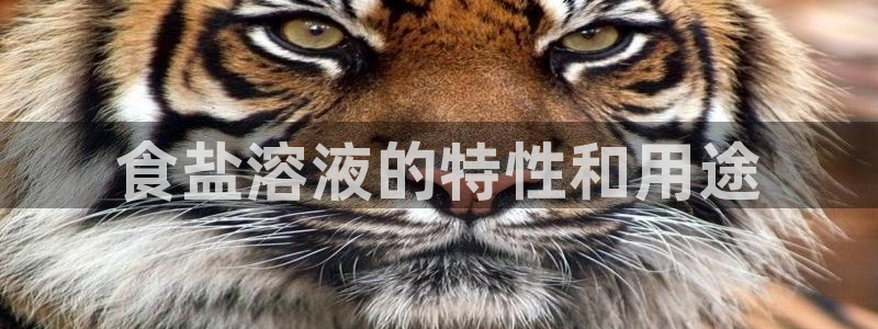 威九国际可以退钱吗怎么退款