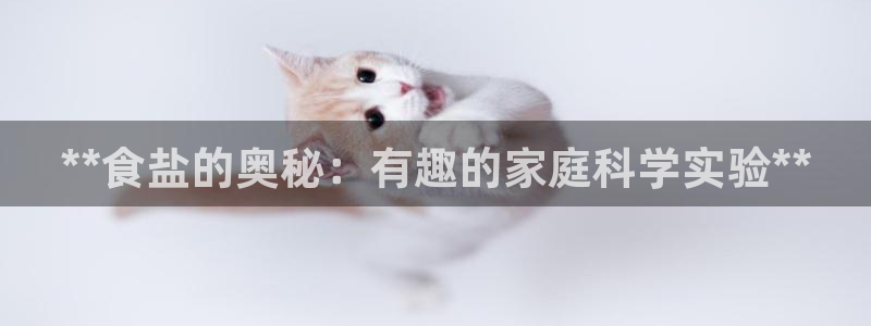 威九国际热舞