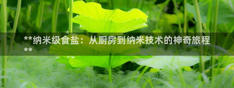威九国际客服电话是多少