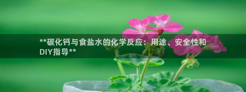 威九国际人民网招聘