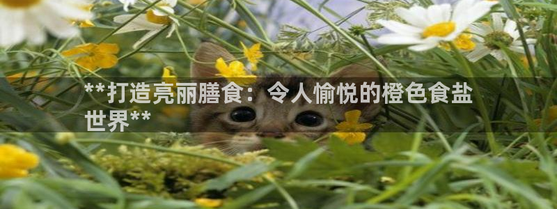 威九code6070