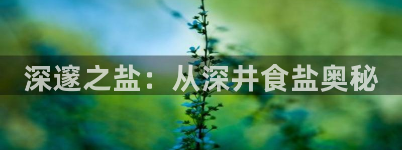 威九国际66cm