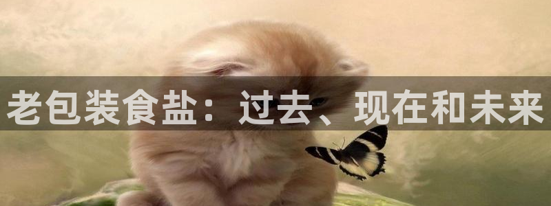威九国际精选