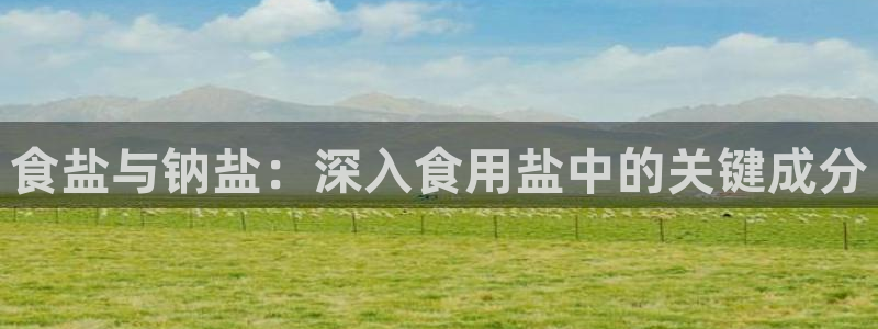 威九国际网站下载