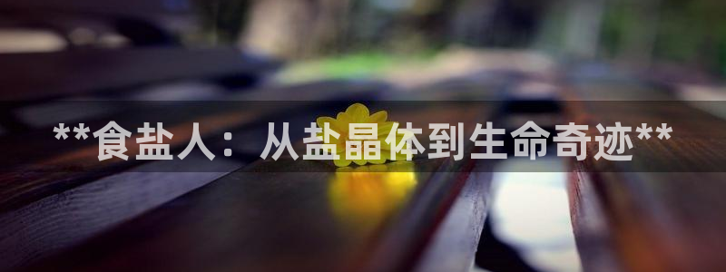 威九国际网站怎么样
