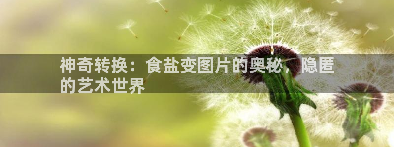 威九国际78app
