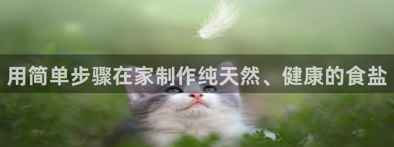 威九国际app
