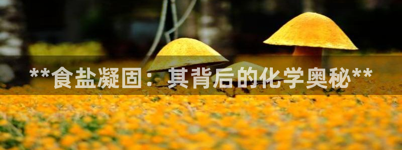 威九国际66m官网版
