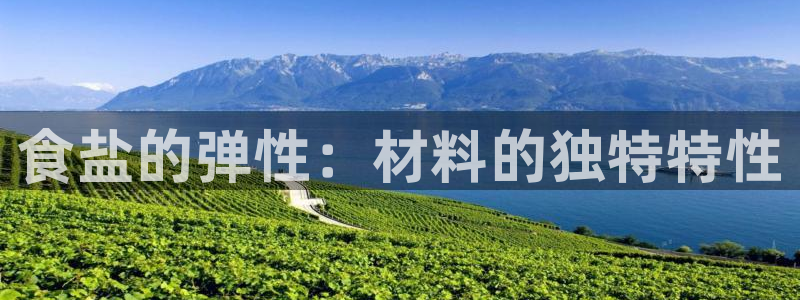 威九国际如何下载