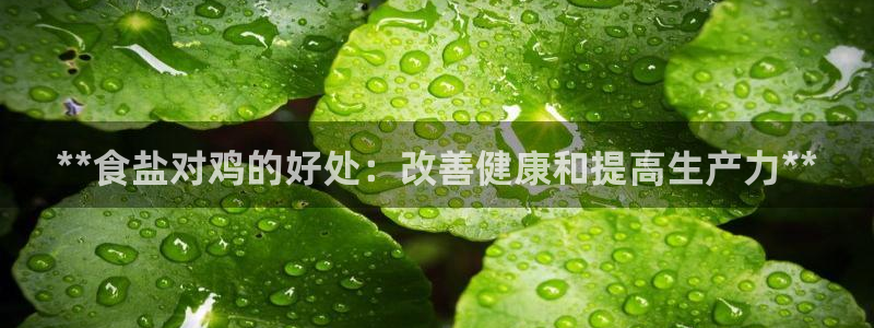 威九国际网站入口地址在哪里