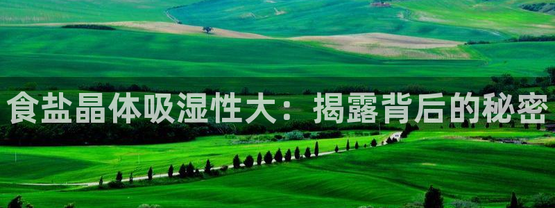 威九国际空降服务女演员名字