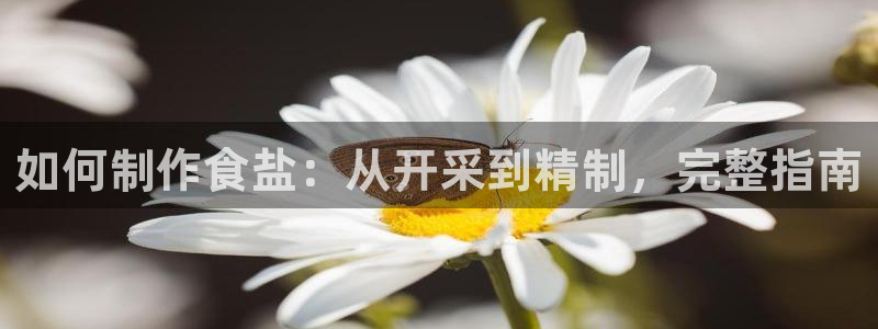 威九国际网站入口官网免费下载