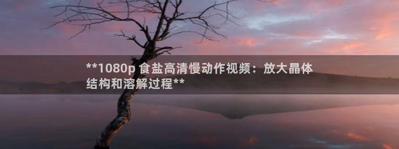 威九国际软件公司简介
