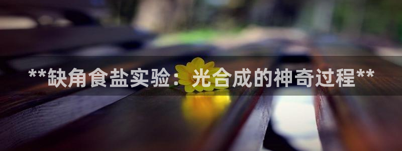 威九国际官网在线进入网站查询网址