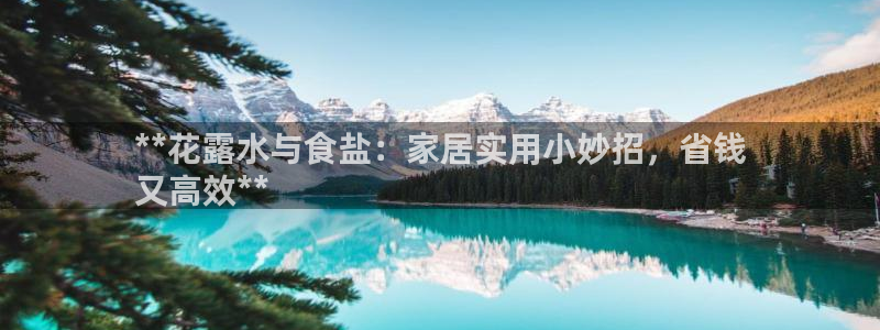威九国际78app