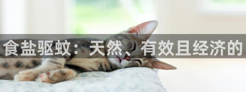 威九国际取款不会被骗吧是真的吗
