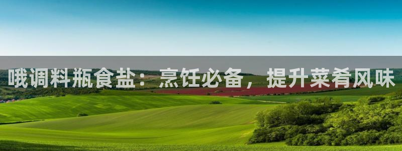 威九国际v9