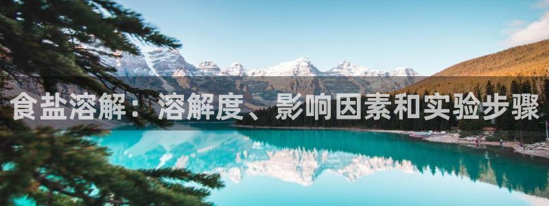 威九国际v96242cc官网版