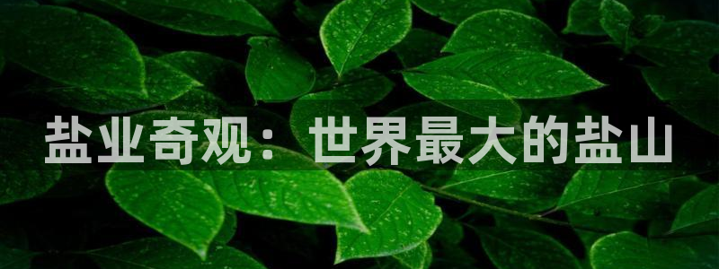 威九国际取款不会被骗吧是真的吗
