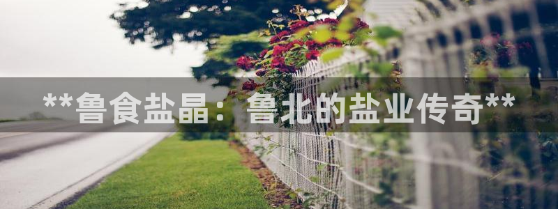 威九国际宣传片