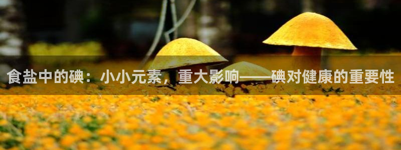 威九国际黄威尼斯