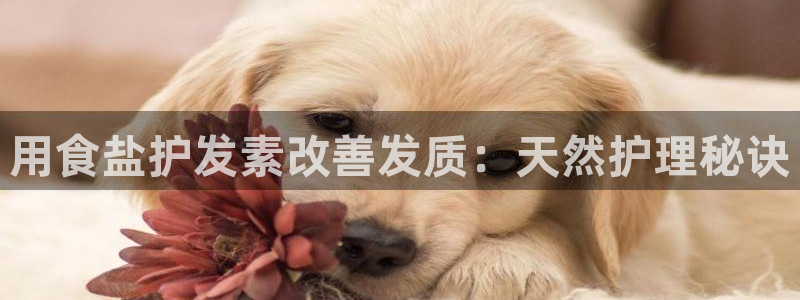 威九国际黑钱