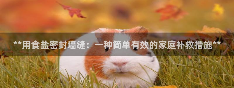 威九国际可以提现吗