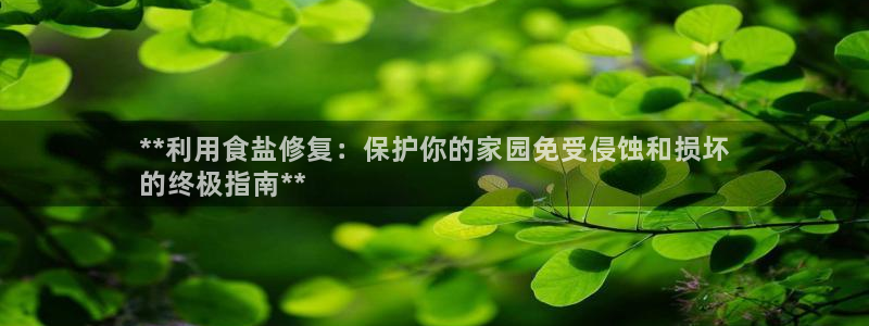 威九国际66在线