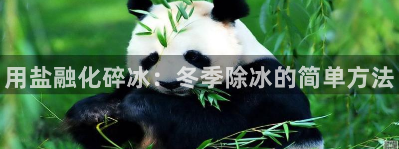 威九国际官方网站最新版本更新内容介绍