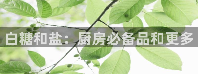 威九国际78m域名