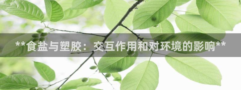 威九国际66视频